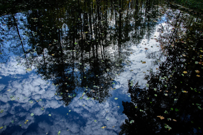 DSC_2272.jpg