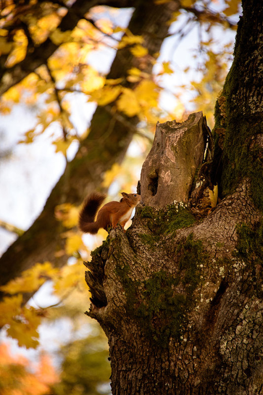 DSC_2238.jpg