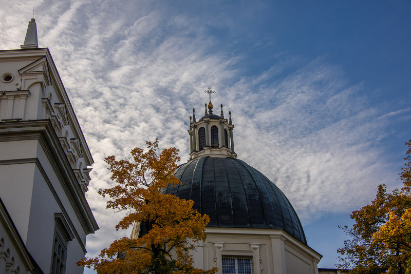 DSC_2206.jpg