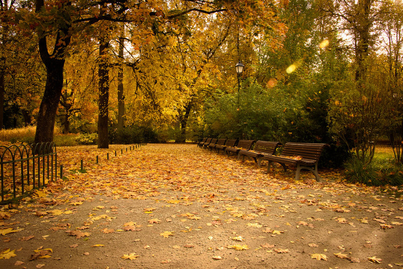 DSC_2194.jpg