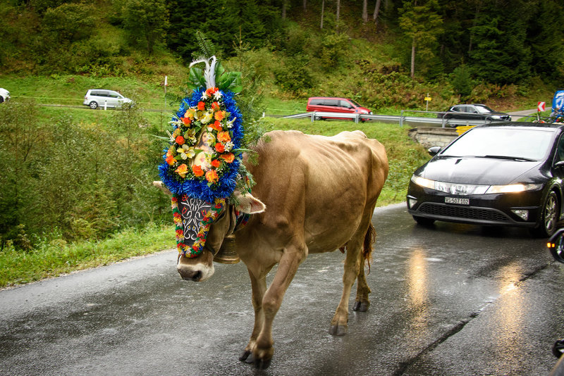 Tirolean Traffic jams