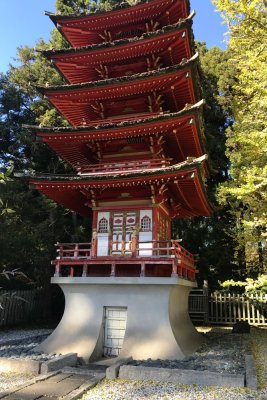 Golden Gate Park_IMG_5946.jpg