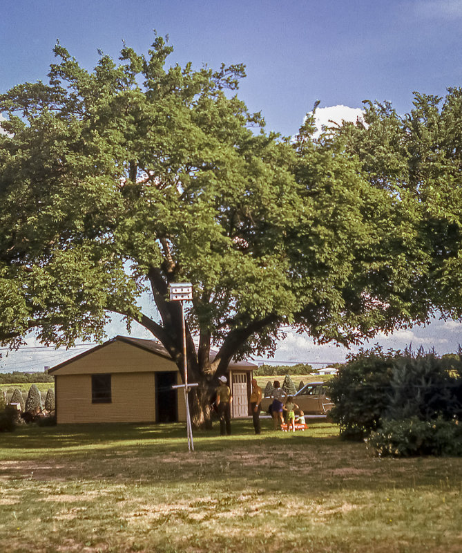 Edwards Family Tree