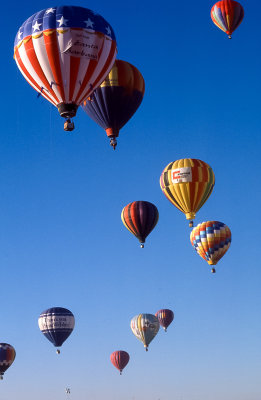 img489.jpg