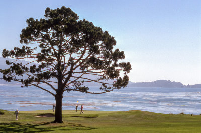 Pebble Beach Golf Course
