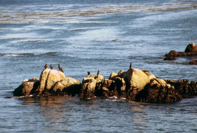 Monterey Bay