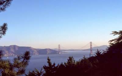 Golden Gate Bridge from the Presidio