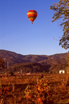 Napa Balloon