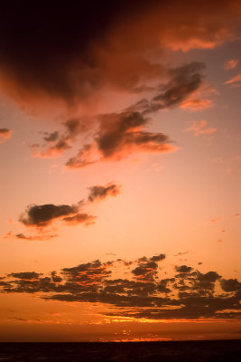 Napa Sunset