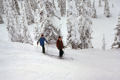 Two lost skiers