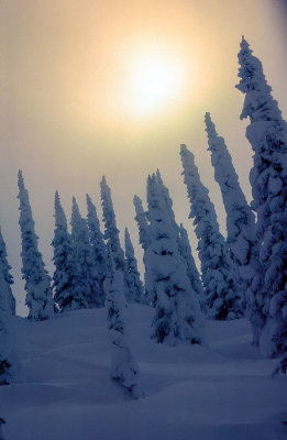 ski_trip_1978