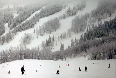 Ski Runs