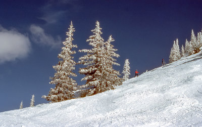 Colorado Landscape with Dan and Shawn