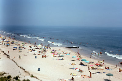 img508.jpg