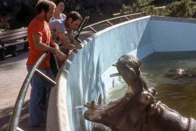 Gary Holmes, Bill, and Karla (another zoo guy)