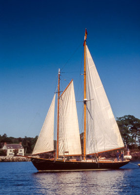 Camden schooner