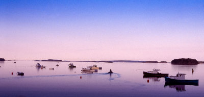 Maine Harbor at sunrise