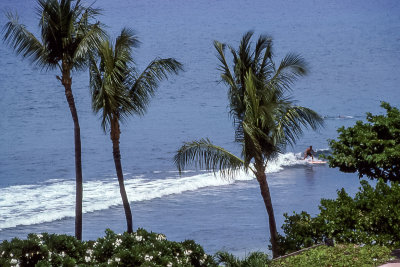 Surf on Maui