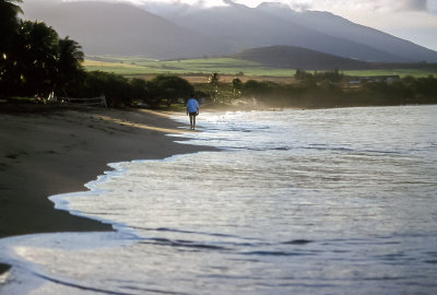 Walking the beaches, of course