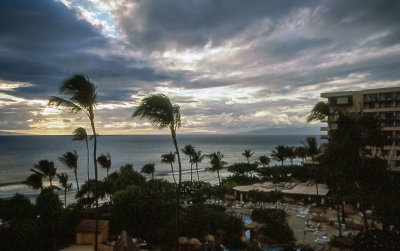Pool from hotel room