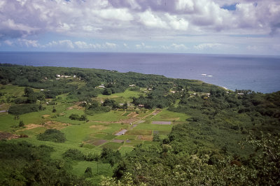 Hawaii Landscape