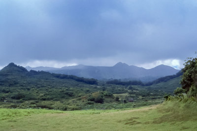 Hawaii Landscape