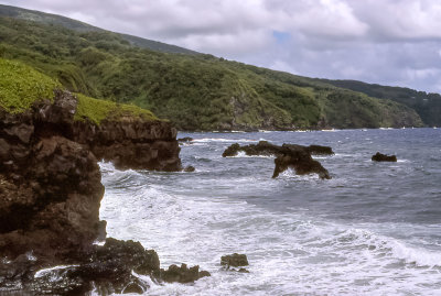 Hawaii Coast
