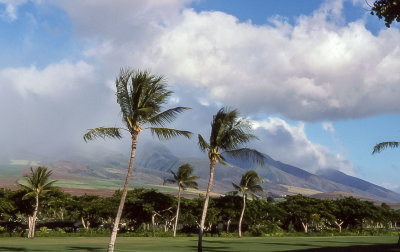 Golf Course at Kaanapali