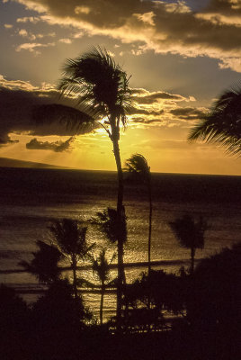 Sunset on Maui