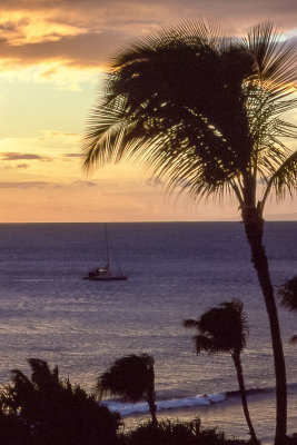 Sunset on Maui