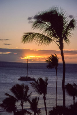 Maui 1996