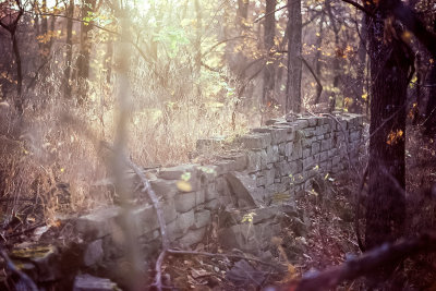 Old homestead wall in Oakhill woods