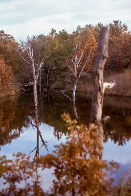 Pond at Argo
