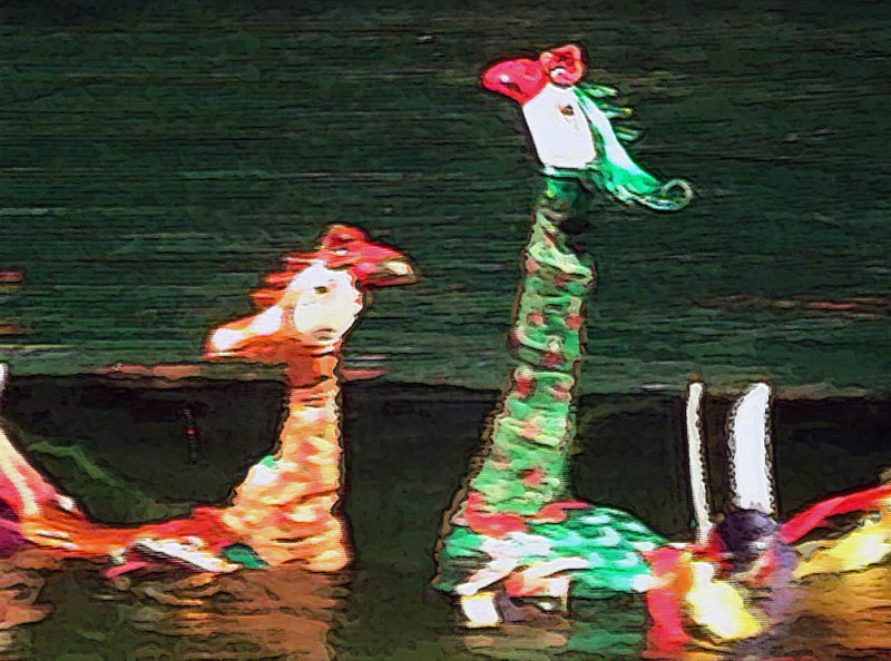 water fowl.jpg