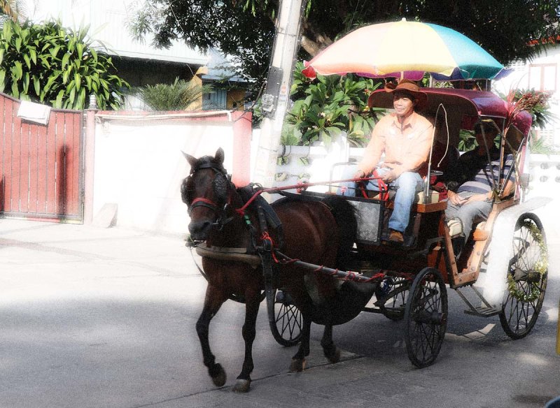 buggy ride.jpg