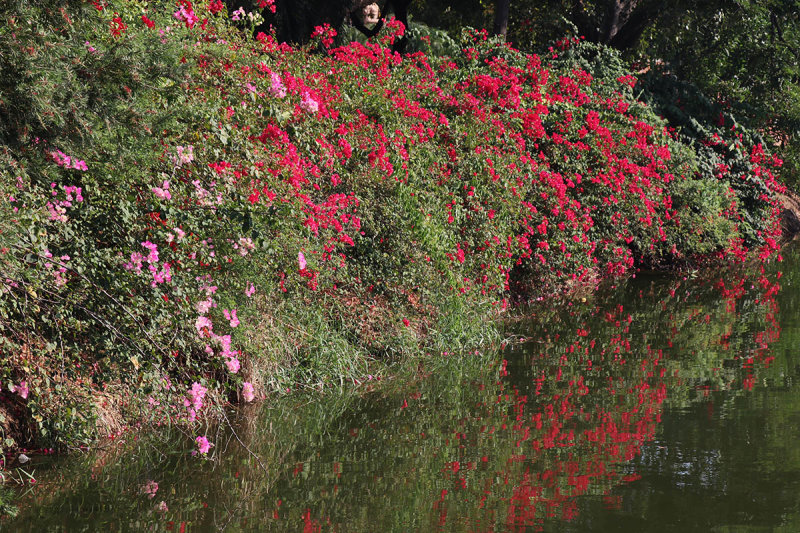 canal bank.jpg