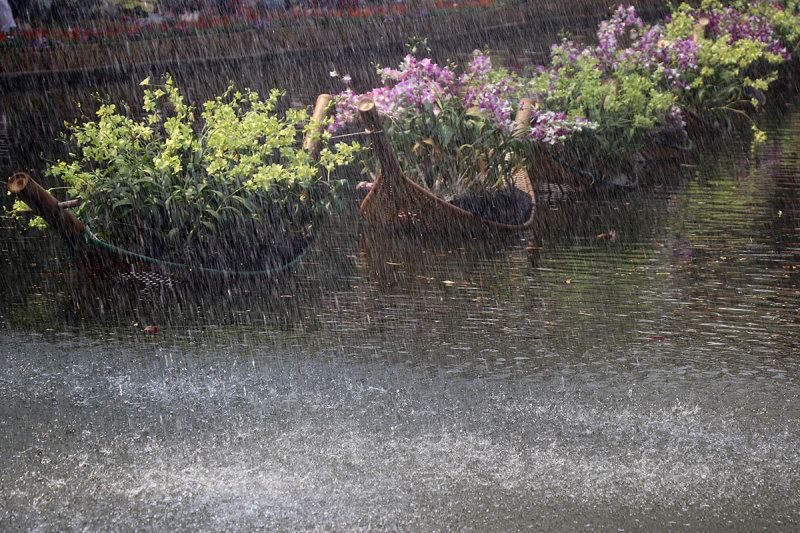 a soaking.jpg