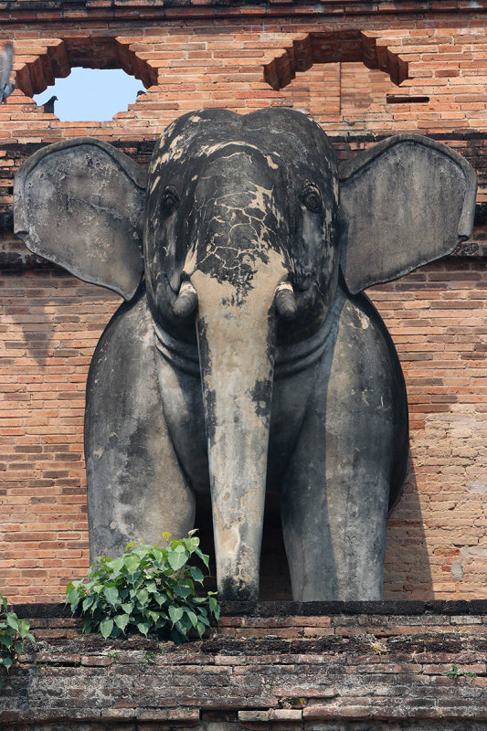 elephantine.jpg