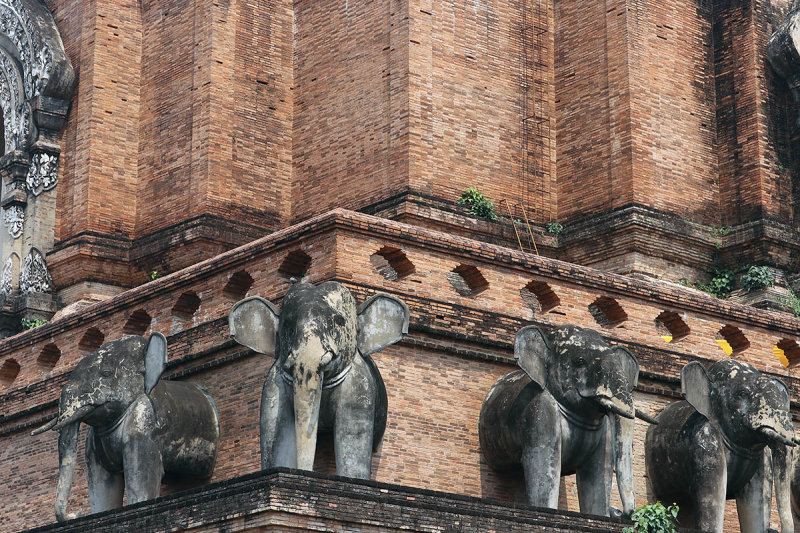 elephant guard.jpg