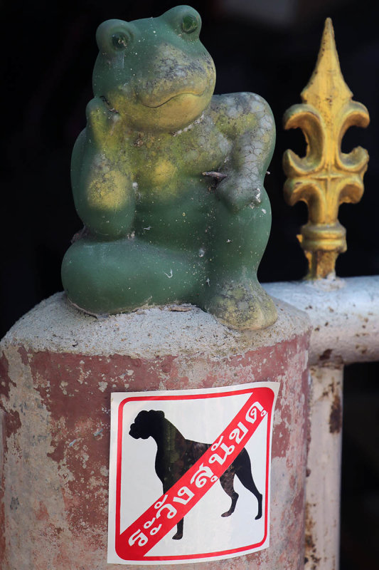 beware of dog not frog.jpg