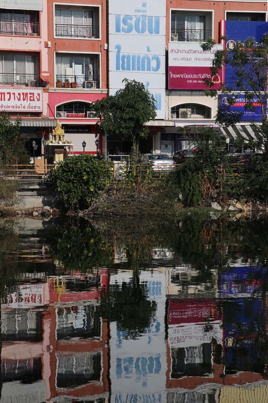 Reflection.jpeg