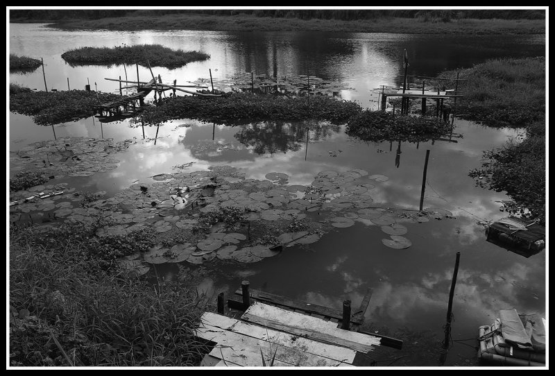 still water.jpg