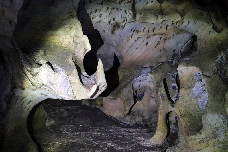 odd forms.jpg