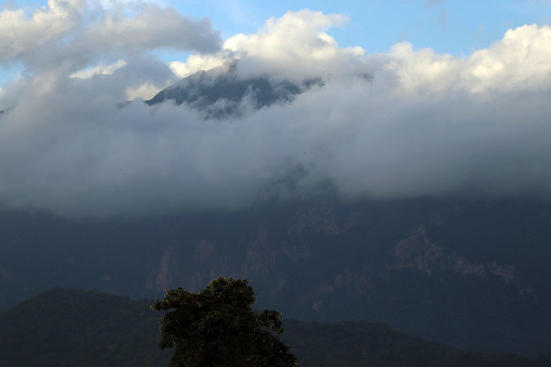 late afternoon light.jpg