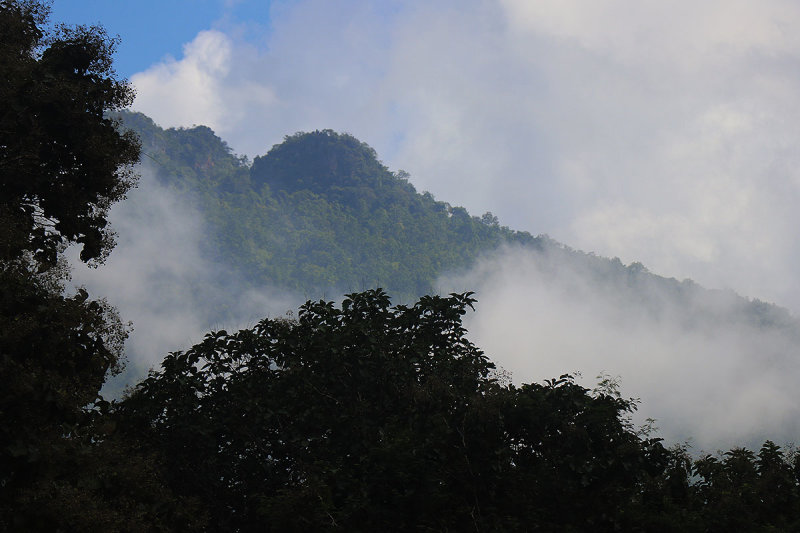 rolling fog.jpg
