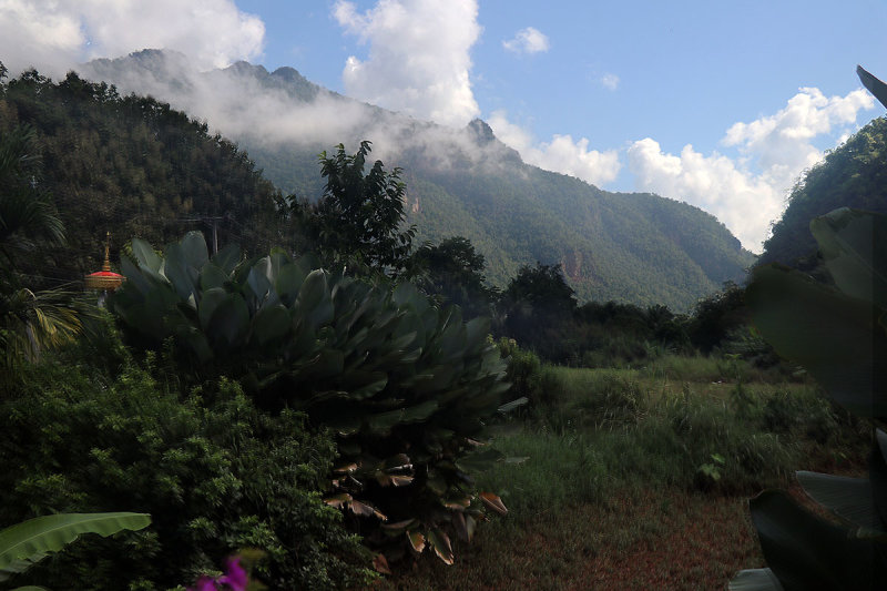 facing east.jpg