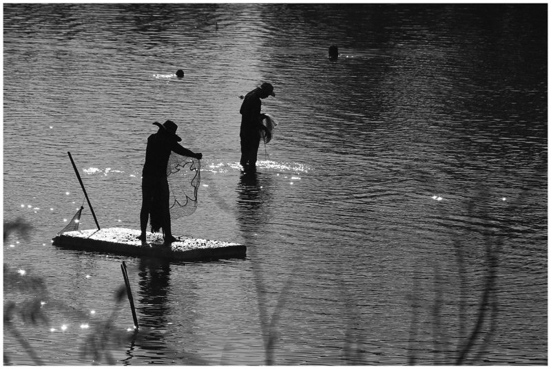 setting up the nets.jpg