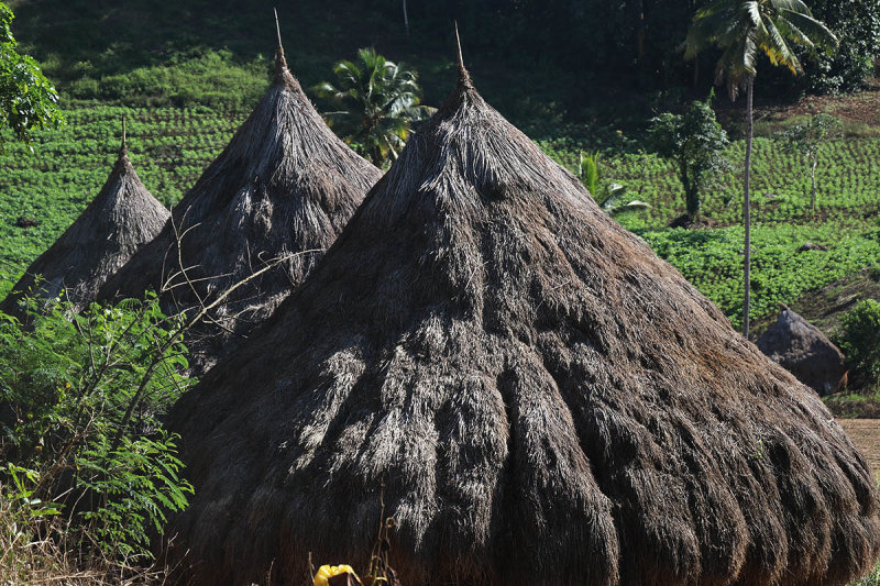 harvest stacks.jpg