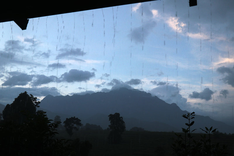 downpour.jpg