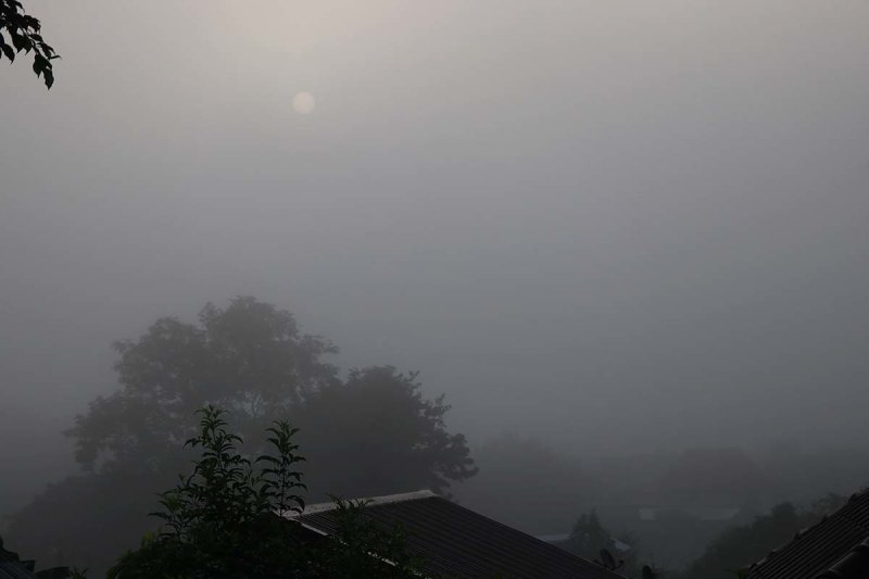 early morning fog.jpg
